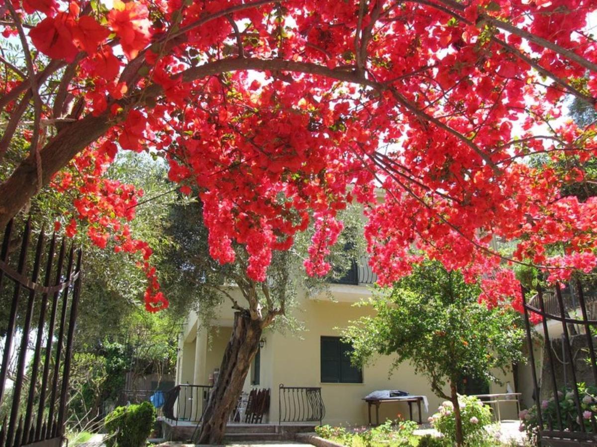 Villa Margarita Agios Ioannis Peristerion Dış mekan fotoğraf